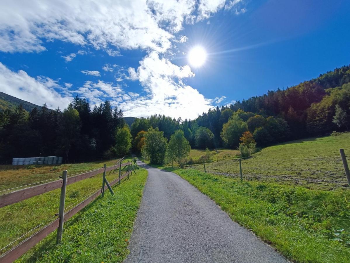 Apartament Jizdarna Malenovice Malenowice Zewnętrze zdjęcie